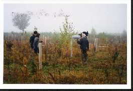 ARTE en plein tournage